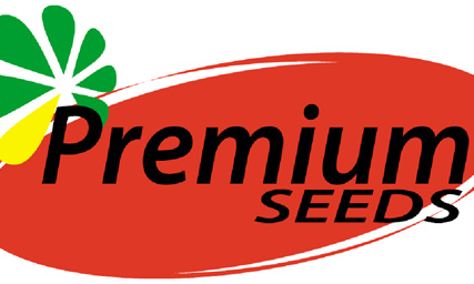 Премиумсидс