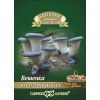Вешенка Колумбийская на древесной палочке, больш. пак. 12 шт