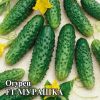 Огурец Мурашка F1 100 шт. корнишон, изображение 2