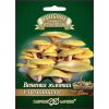 Вешенка золотая Лимонная на древесн. палочке, больш. пак. 12 шт