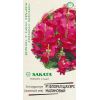 Львиный зев (Антирринум) Флорал Шауэрс малиновый F1 7 шт. Саката серия Элитная клумба