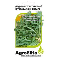 Семена Двурядник тонколистный Рукола дикая Триция 500 шт. Агроэлита