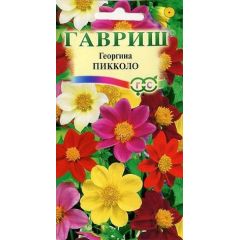 Георгина Пикколо, смесь 0,3 г