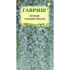 Дихондра серебристая Сильвер Фоллс 3  шт.