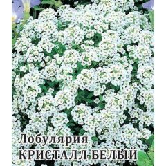 Лобулярия Кристалл Белый 100 шт.* сер. Профи
