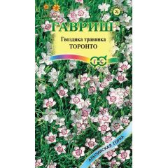 Семена Гвоздика травянка Торонто 0,05 г