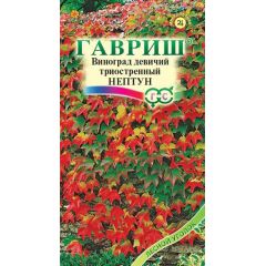 Семена Виноград триостренный Нептун 5 шт.