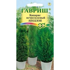 Семена Кипарис Аполлон вечнозеленый 0,1 г