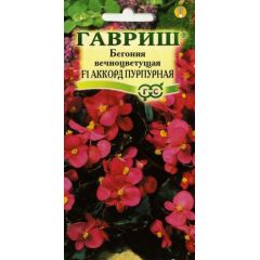 Семена Бегония Аккорд Пурпурная F1 4 шт.