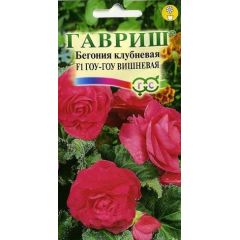 Семена Бегония Гоу-гоу вишневая F1 клубневая 4 шт.