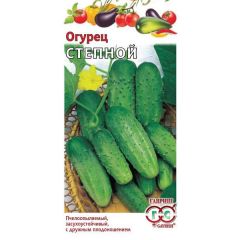 Семена Огурец Степной 0,5 г