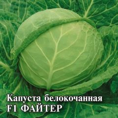 Семена Капуста белокочанная Файтер F1 250 шт