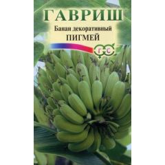 Семена Банан декоративный Пигмей 3 шт.