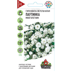 Семена Гипсофила метельчатая Паутинка 0,05 г Удачные семена