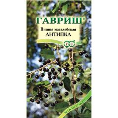 Семена Вишня магалебка Антипка 1 г