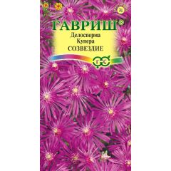 Семена Делосперма Купера Созвездие 10 шт.