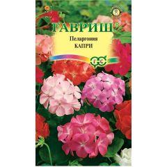 Семена Пеларгония Капри F2 зональная 4 шт.