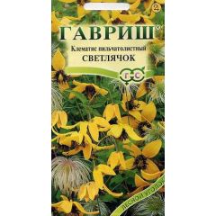 Семена Клематис пильчатолистный Светлячок 0,05 г