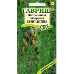 Семена Лиственница сибирская Бригантина 0,2 г