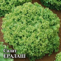 Семена Салат Ералаш 50 г