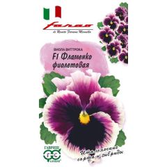 Семена Виола Фламенко фиолетовая F1 Виттрока Анютины глазки 7 шт.