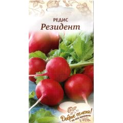Семена Редис Резидент 1 г Добрые семена