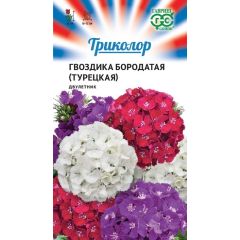 Семена Гвоздика турецкая смесь серия Триколор 0,6 г