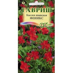 Семена Кассия Феникс яванская 3 шт.