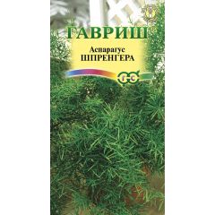 Семена Аспарагус Шпренгера  Вивальди 4 шт.