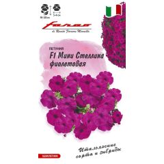Петуния Мини Стеллина фиолетовая F1 многоцв. 7 шт.