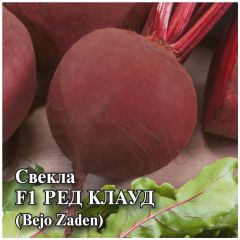 Свекла Ред Клауд F1 10,0 г (Голландия)