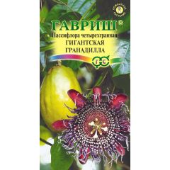 Семена Пассифлора четырехгранная Гигантская гранадилла 3 шт.