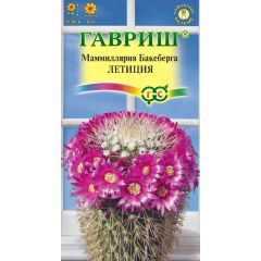 Семена Маммиллярия Бакеберга Кактус Летиция 2 шт.