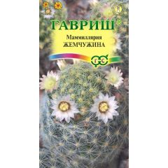 Семена Маммиллярия шейдвелардиана Жемчужина 2 шт.