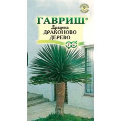 Семена Драцена Драконово Дерево 3 шт.