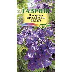Семена Жакаранда Дельта 3 шт.