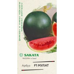 Семена Арбуз Мулат F1 5 шт
