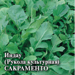 Семена Индау рукола культурная Сакраменто 25 г