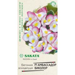 Семена Бегония Амбассадор Биколор F1 вечноцветковая 4 шт.