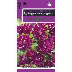 Семена Астра Трубадур темно-пурпурный 0,05 г
