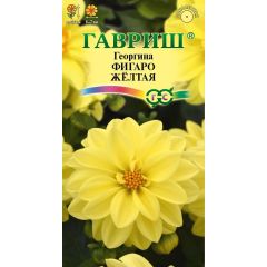 Семена Георгина Фигаро желтая 7 шт
