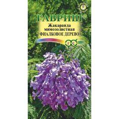 Семена Жакаранда Фиалковое дерево 3 шт.