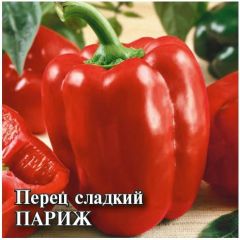 Семена Перец Париж 500 шт.