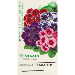 Семена Глоксиния Аванти F1 4 шт.