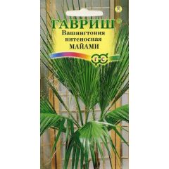 Семена Вашингтония нитеносная Майами 3 шт.