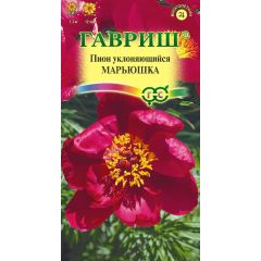 Семена Пион уклоняющийся Марьюшка 3 шт.