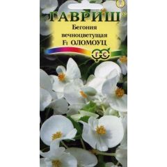 Семена Бегония Оломоуц F1 вечноцветковая 5 шт.