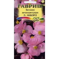 Семена Бегония Аккорд F1 вечноцветковая 5 шт.