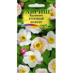 Семена Каликант китайский Розовый нефрит 3 шт.