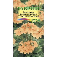 Семена Кроссандра Тропик красная 3 шт.